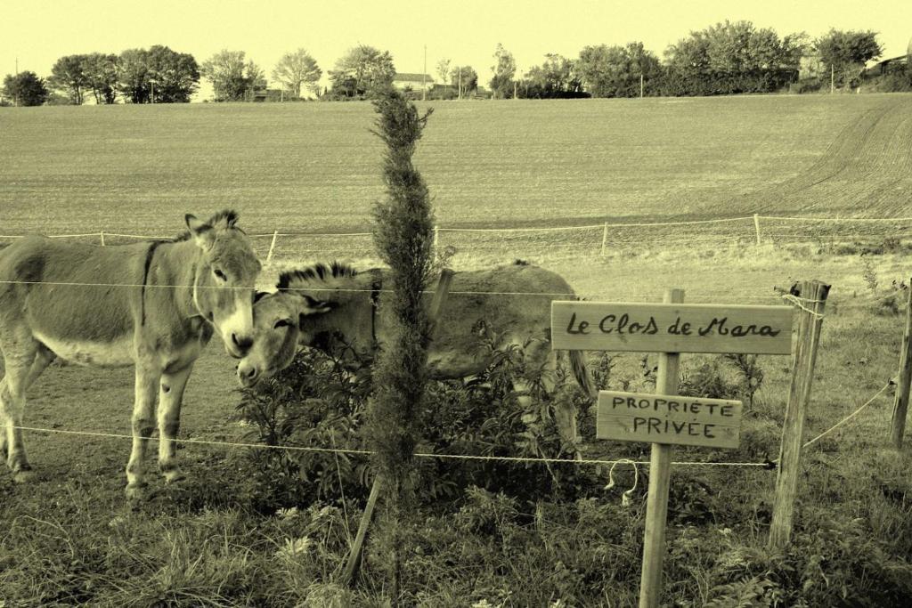 Le Clos De Mara Issus Eksteriør bilde